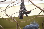 DSC_9126.JPG